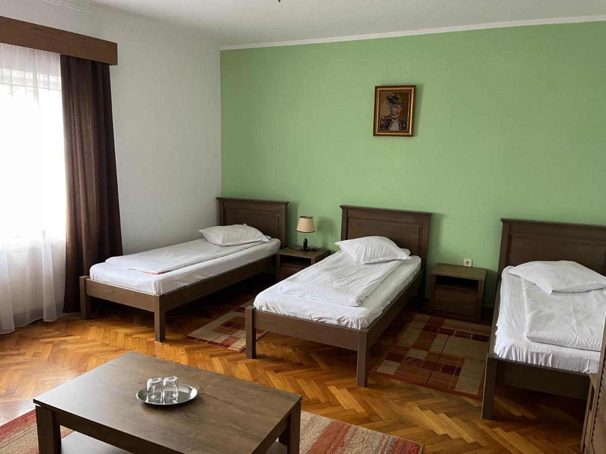 Hotel Pensiunea Diana Făgăraş Exteriér fotografie