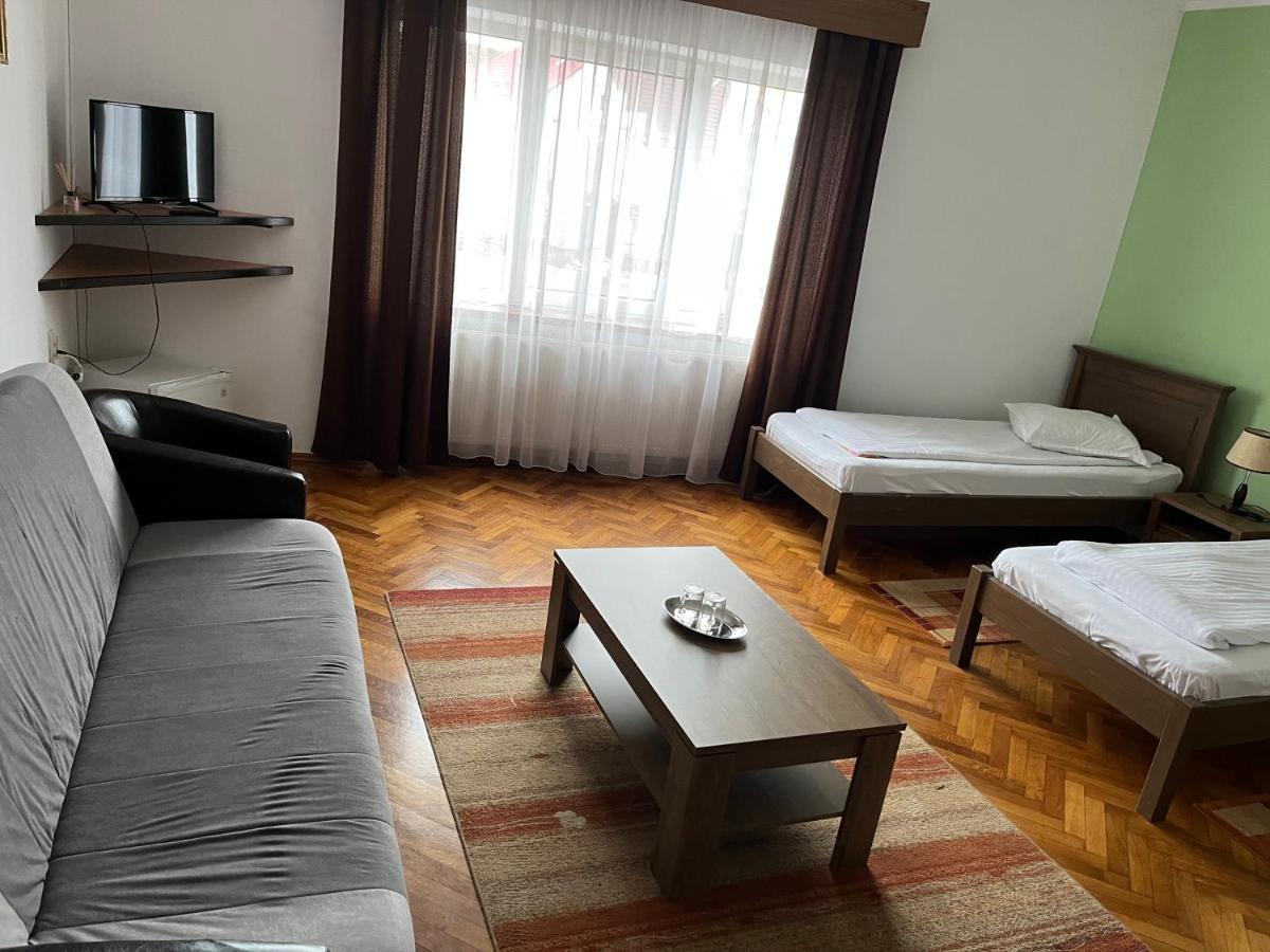 Hotel Pensiunea Diana Făgăraş Exteriér fotografie